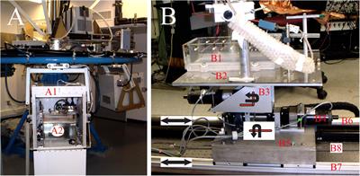 Influence of Magnitude and Duration of Altered Gravity and Readaptation to 1 g on the Structure and Function of the Utricle in Toadfish, Opsanus tau